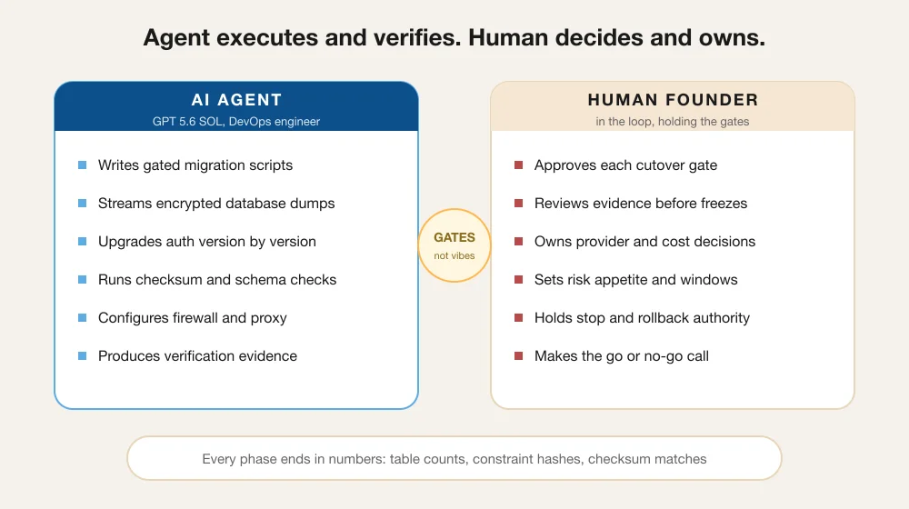 Two-column diagram of the migration operating model: the AI agent executes and verifies (gated scripts, encrypted dumps, version-by-version upgrades, checksum comparisons, firewall and proxy configuration, verification evidence) while the human founder decides and owns (gate approvals, evidence review, provider and cost decisions, risk appetite, stop and rollback authority), joined by a badge reading gates, not vibes